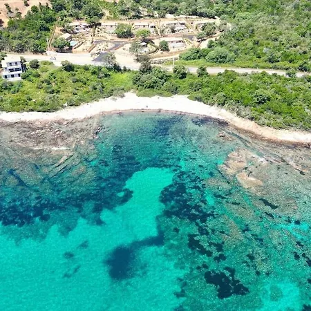 La Bergerie Des Oliviers Villa *